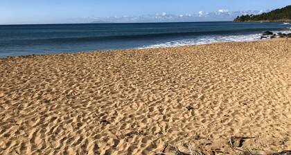VERY NICE GÎTE- CAR RENTAL -SPA-POOL-BEACH ON FOOT- BEACH EQUIPMENT RENTAL