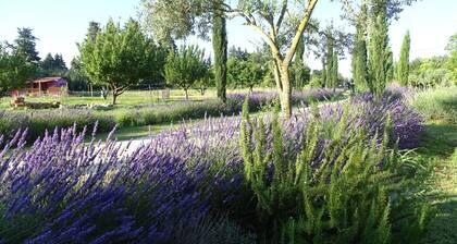 The Mas de la Jardine