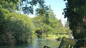 Un banco junto a un río, con follaje denso y árboles al fondo.