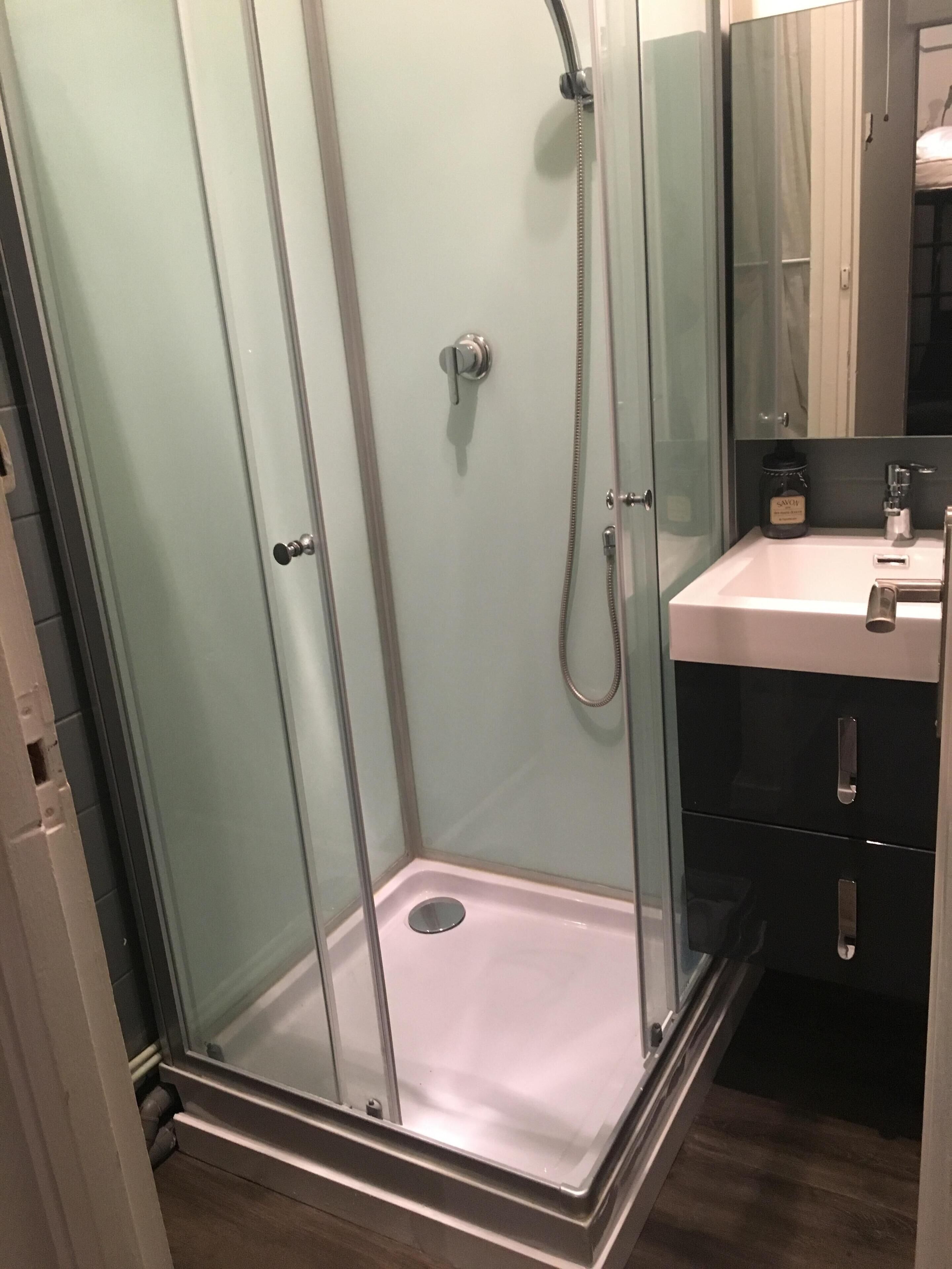 Shower, hair dryer, towels