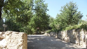 Un sendero pavimentado bordeado por muros de piedra y árboles frondosos, que conduce a una edificación distante.