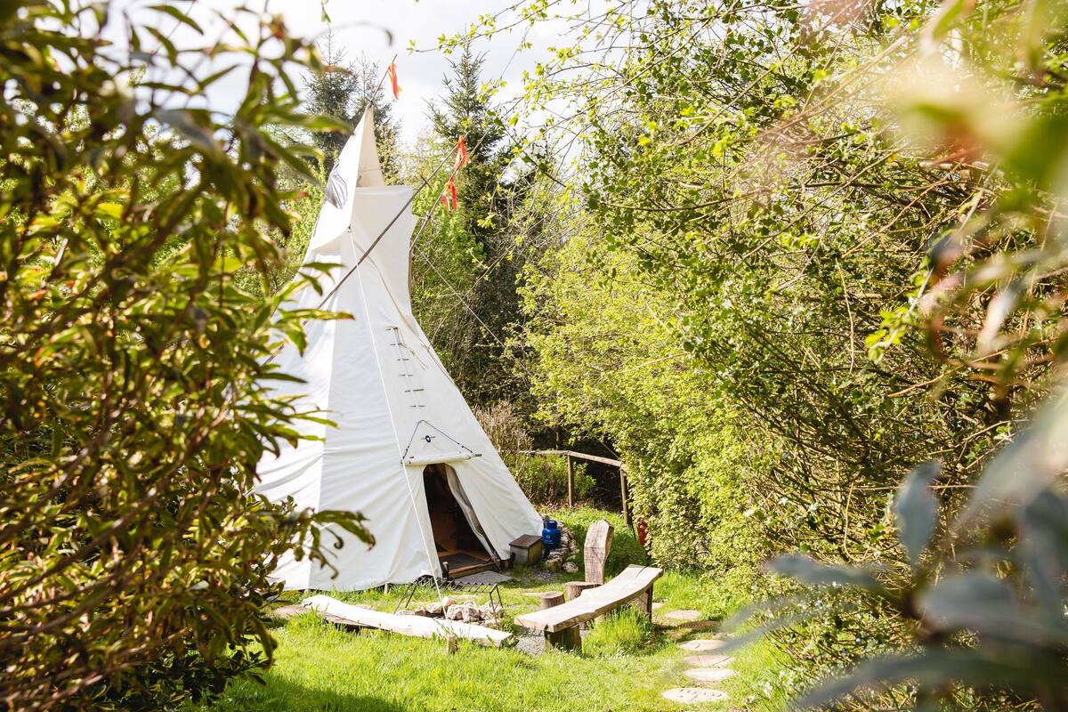 A white tent set in a lush green environment with a clear sky.