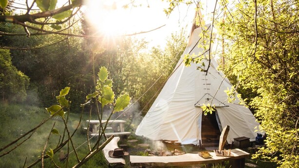 A white tent in a forest with a table and chairs nearby. - Larkhill Tipis and Yurts (Llandysul)