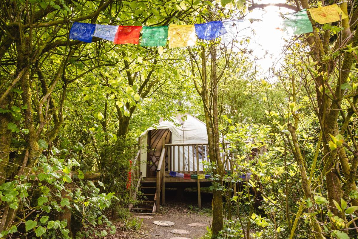 Bentwood Yurt | Travel crib