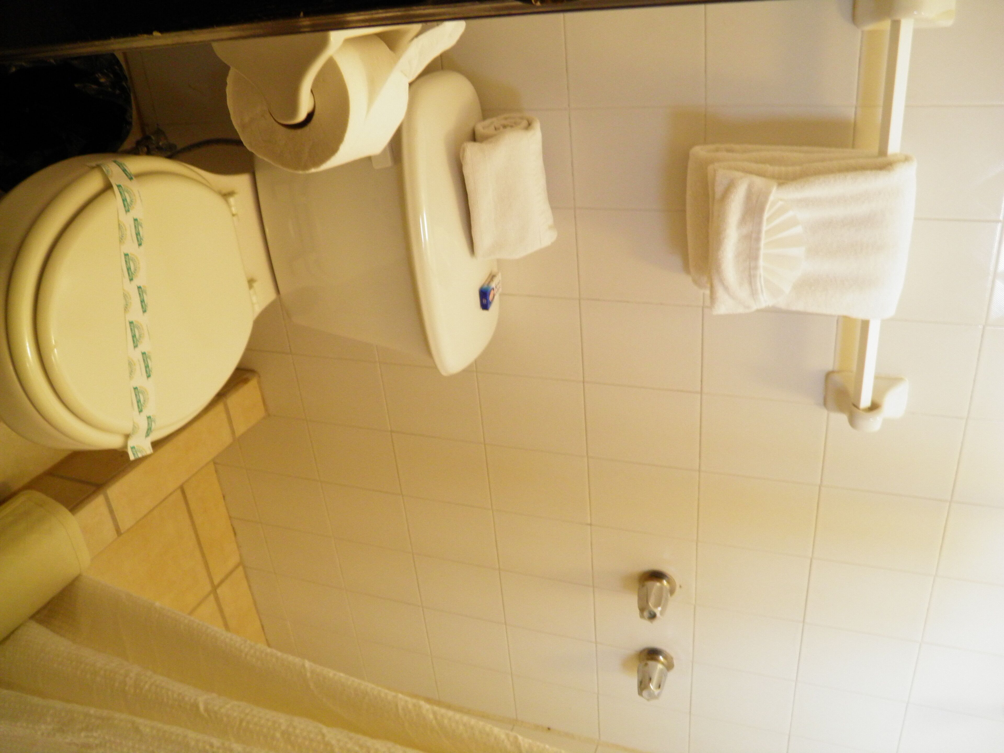 panoramic room, 2 double beds | bathroom | shower, rainfall showerhead, free toiletries, towels