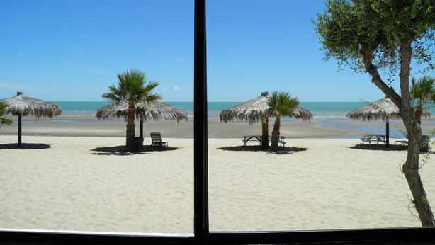 Een uitzicht op het strand met rieten parasols en palmbomen.