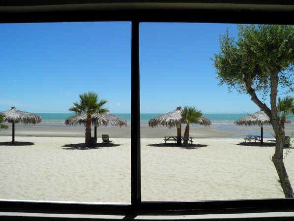 Vista desde la habitación