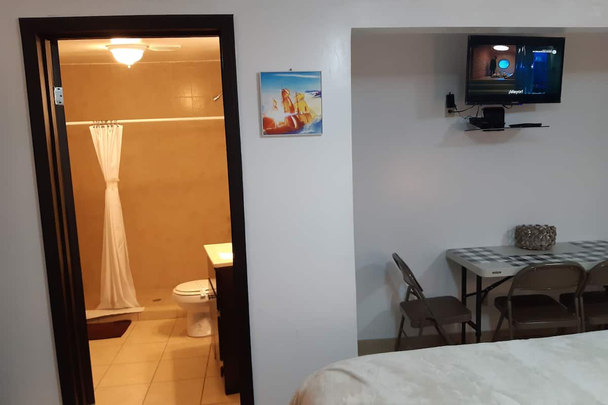 basic room, 1 bedroom | premium bedding, pillow-top beds, iron/ironing board, free wifi
