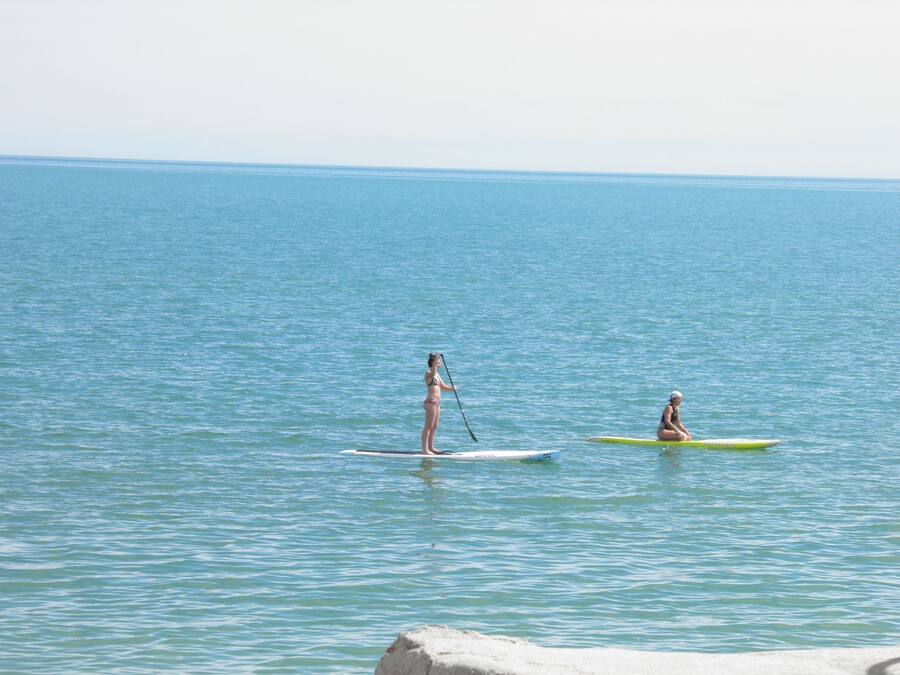 Two individuals on paddleboards in a calm sea.