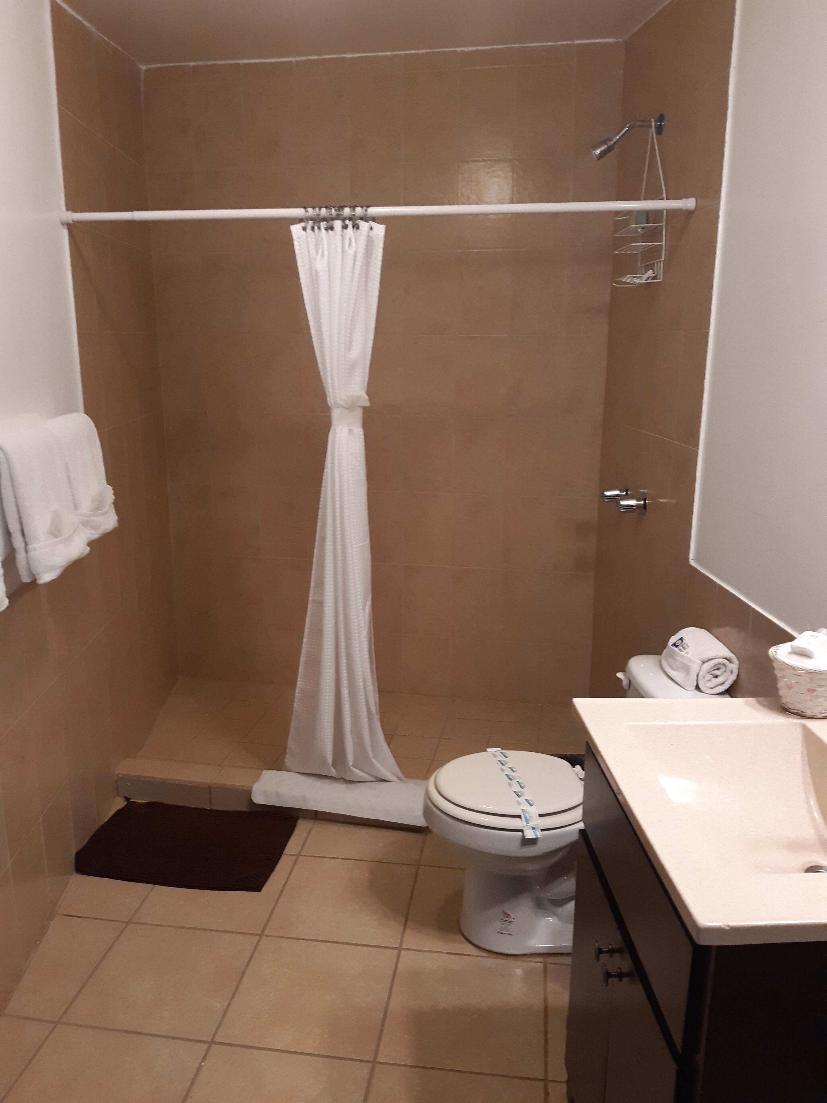basic room, 1 bedroom | bathroom | shower, rainfall showerhead, free toiletries, towels