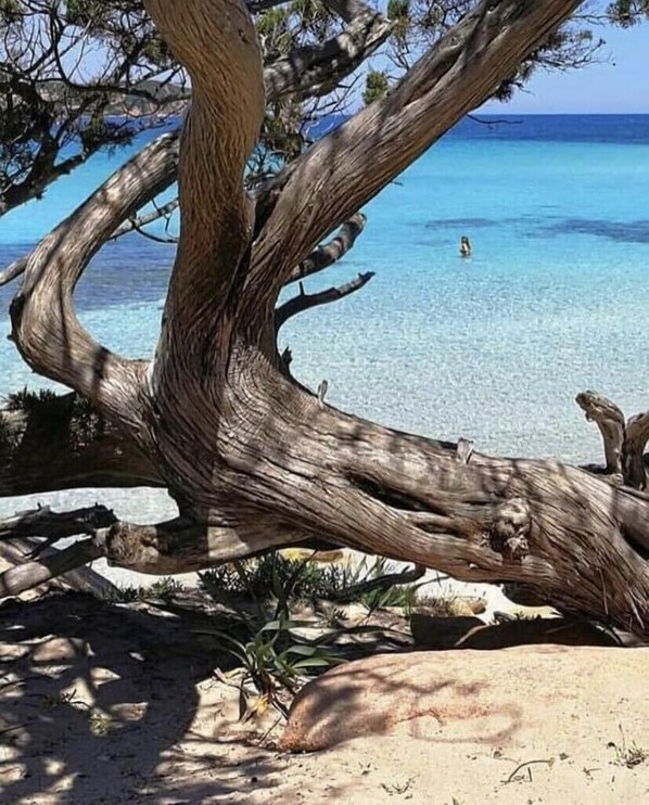 Beach nearby, sun-loungers