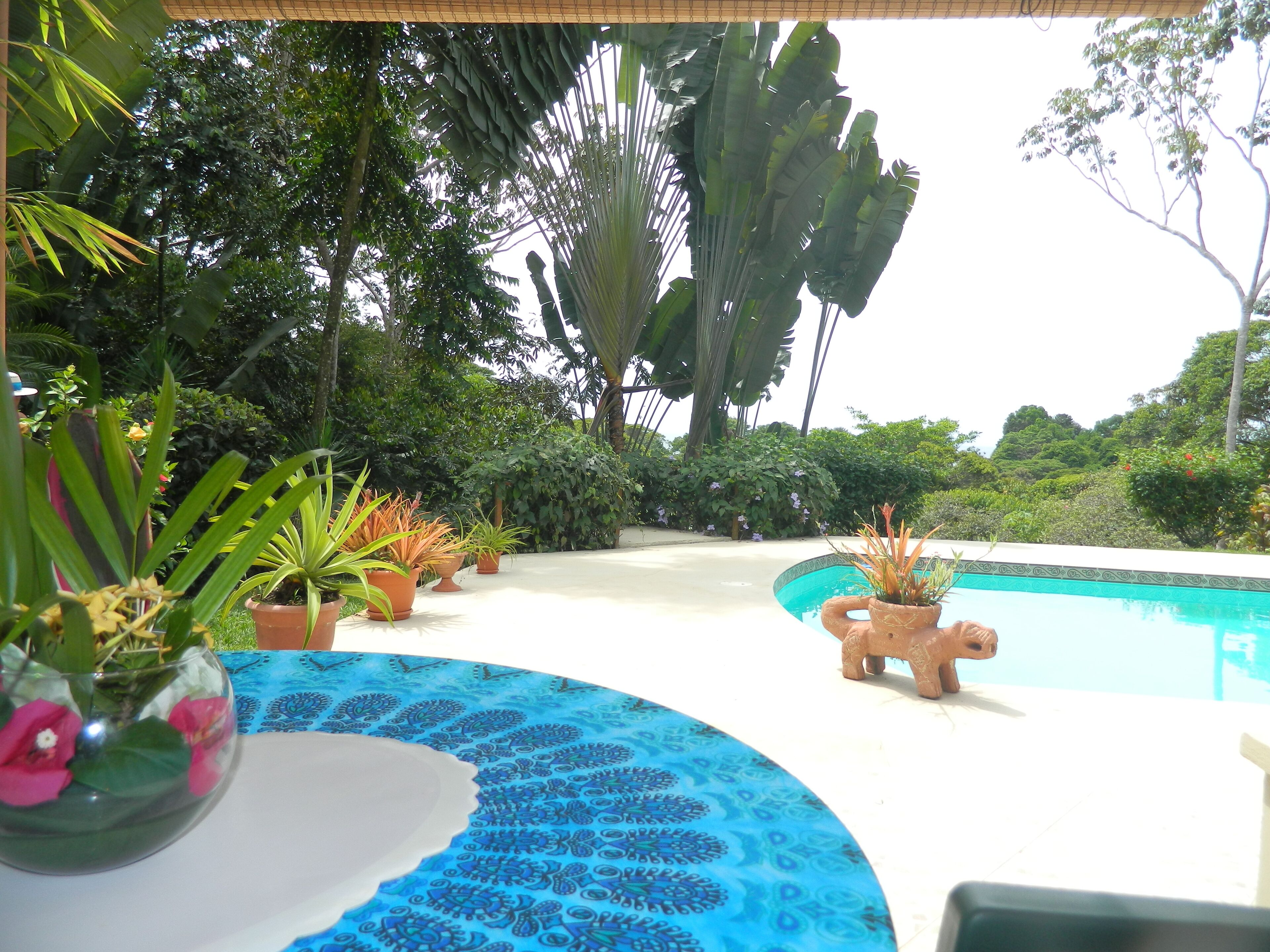A pool area with potted plants and a decorative pig statue.