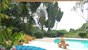 Uma área de piscina com plantas em vasos e uma estátua decorativa de um porco.
