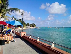 Playa en los alrededores 