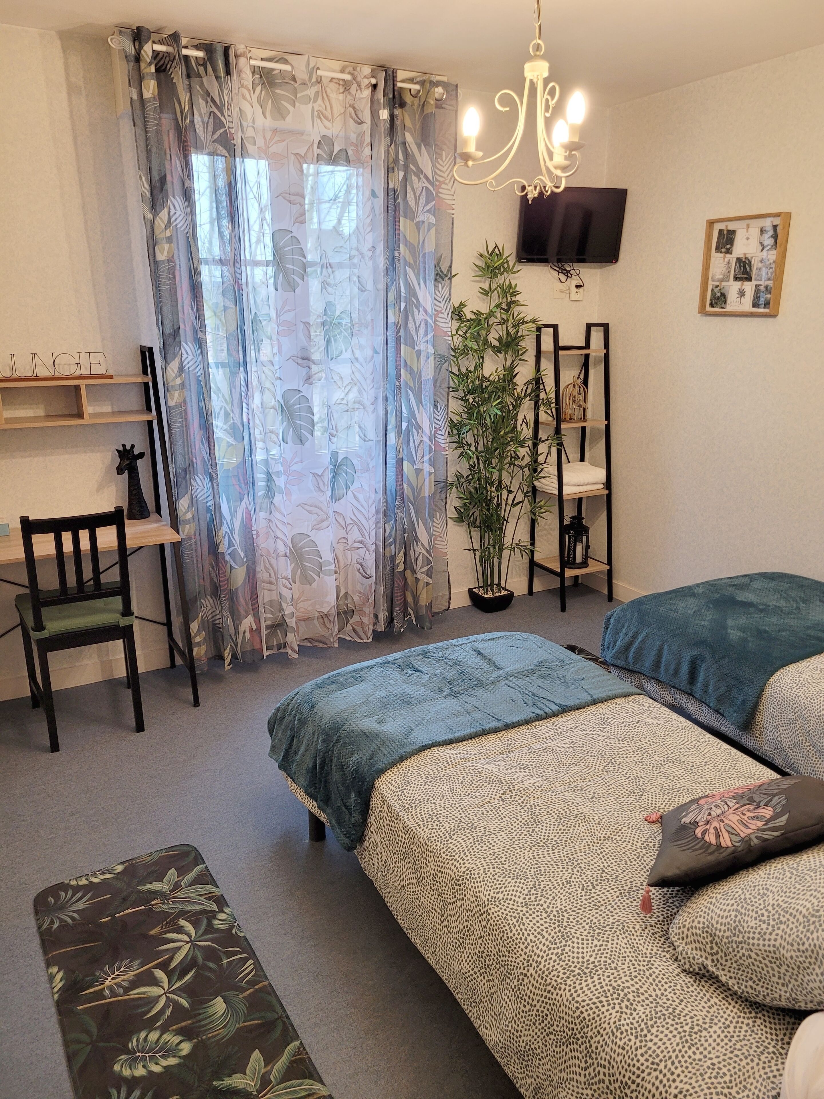 A bedroom with two beds, a desk, a chair, a TV, and a plant.