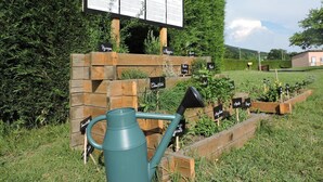 Jardim com uma placa indicativa e canteiros elevados de madeira identificados com nomes de plantas.