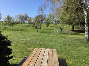 Property grounds - New detached house (Dienville)