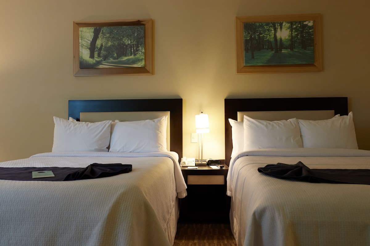 Two adjacent hotel beds with white linens, a bedside table with a lamp, and two framed forest landscape paintings on the wall.