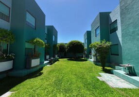 Un patio con césped verde, plantas en macetas y edificios modernos con grandes ventanales.