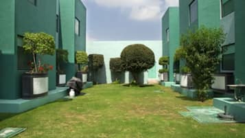 Jardim