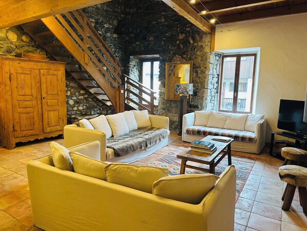 TV connectée, cheminée, lecteur de DVD, livres