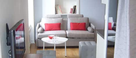 TV, lettore DVD, libri, videoteca