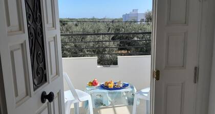 Hammamet - In der Nähe von Stränden und Hügeln: Das Haus der Olivenbäume
