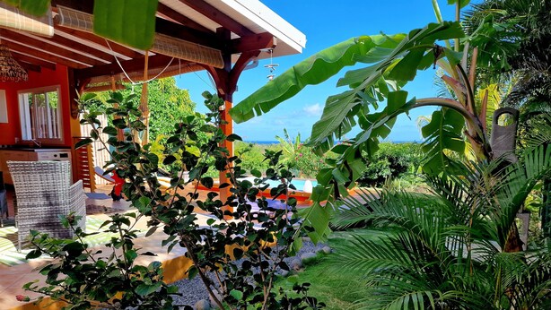 Un espacio al aire libre cubierto con piscina, rodeado de abundante vegetación y vistas al océano.