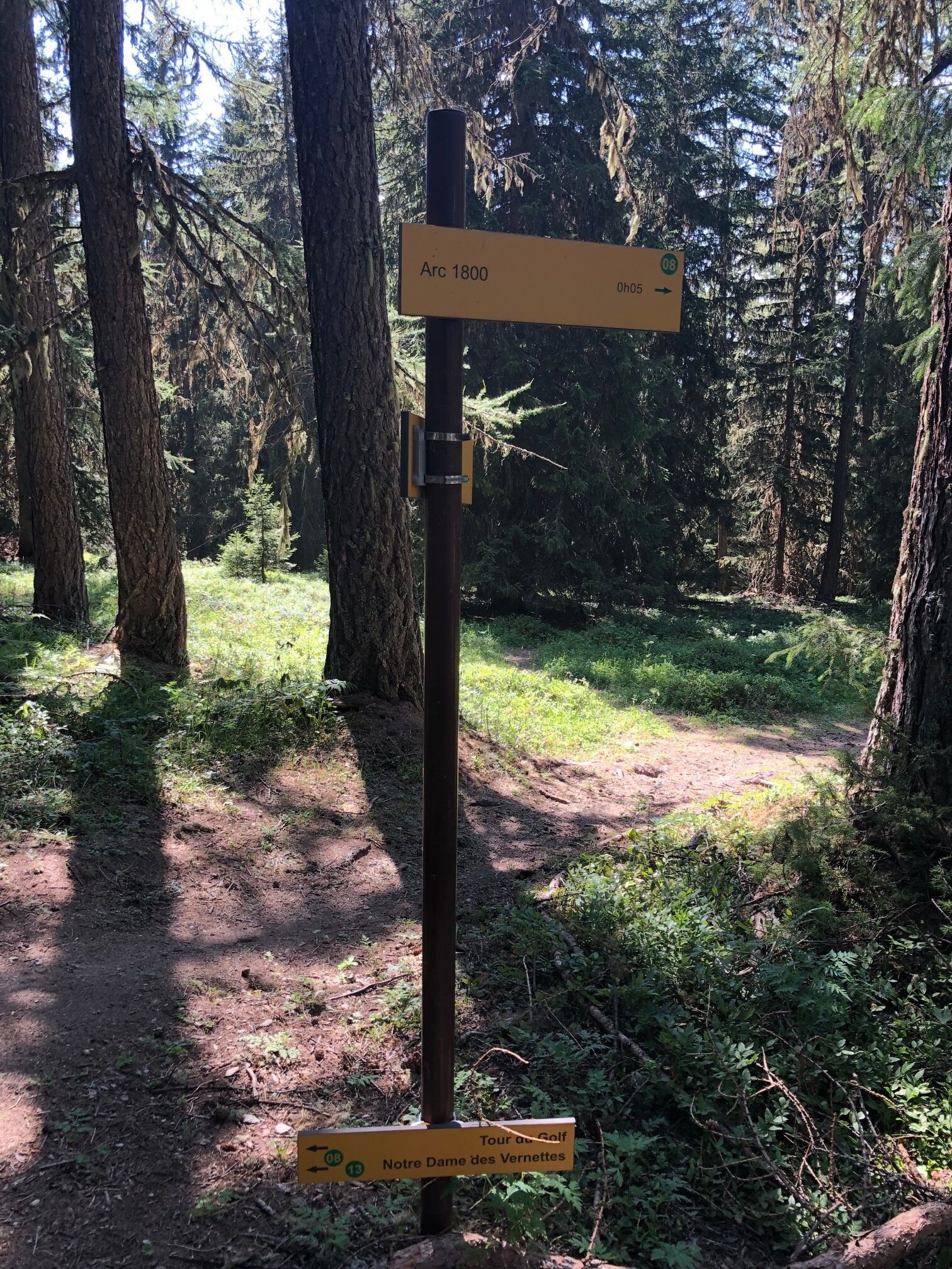 A trail signpost in a forested area with directional arrows and distance markers.