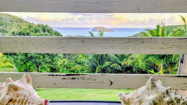A table with two seashells and a cup of coffee, overlooking a beach with palm trees and a view of the ocean.