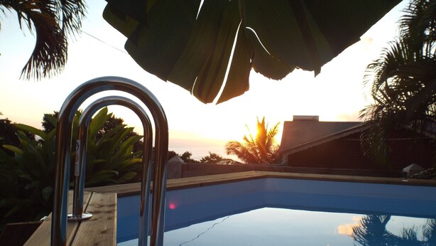 A swimming pool with a metal ladder, surrounded by palm trees and a building in the background.