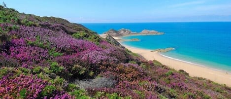 Plage à proximité