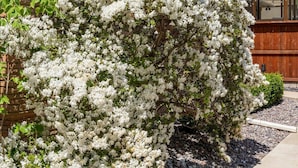 Une maison avec une façade en briques, un porche et un arbuste à fleurs devant.