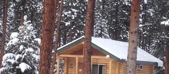 Family Size Modern Log Vacation Cabin, one pet allowed, 30 pound max.  Pet fee.