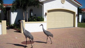 A residential house with a garage, a driveway, and two birds on the ground. - Happy Days at Alhambra (Port Charlotte)