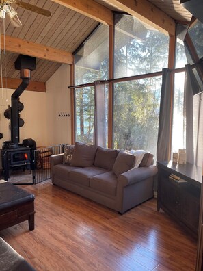 Smart TV, fireplace, DVD player, books
