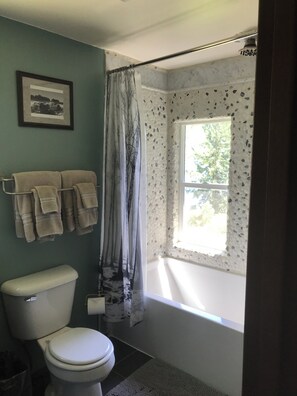 Shower, hair dryer, towels, soap