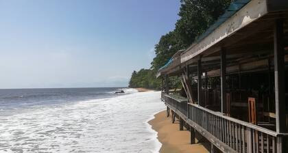 Studio-Budget-Shower-Garden View