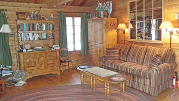 电视、壁炉、DVD 播放器、音乐库