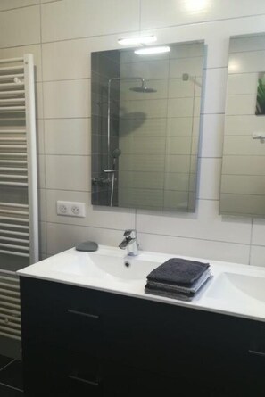 Regadera, secadora de cabello, papel de baño