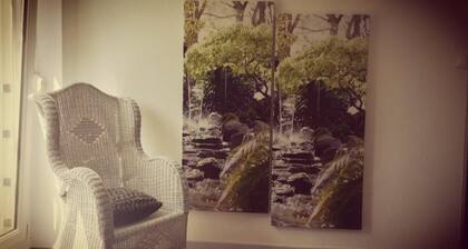 situé au coeur des cretes vosgiennes et du vignoble alsacien