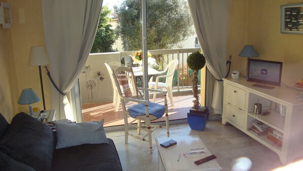 تلفزيون، كُتُب