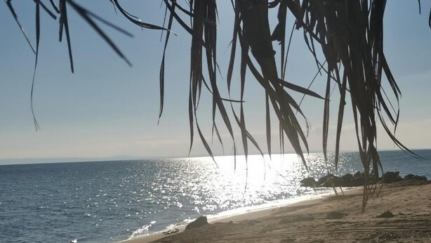 Playa privada, sillas reclinables de playa, sombrillas, toallas de playa