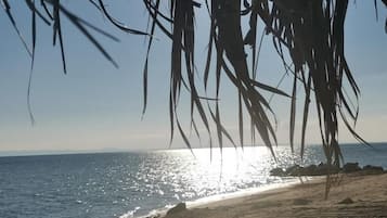 On the beach, sun loungers, beach umbrellas, windsurfing