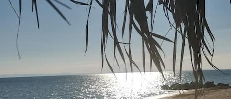 On the beach, sun-loungers, beach umbrellas, windsurfing