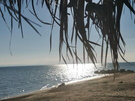 Στην παραλία, ξαπλώστρες (σεζλόνγκ), ομπρέλες θαλάσσης, γουίντ σέρφινγκ