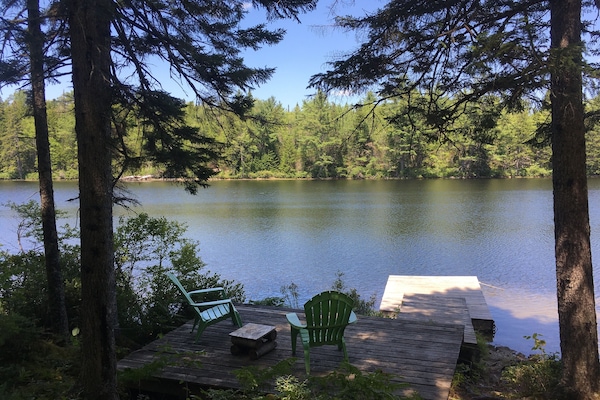 250 of private frontage on the undeveloped end of the lake. Canoe provided.