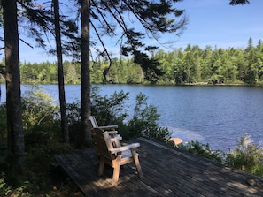 Property grounds - Secluded Lakefront, Dog-Friendly Cabin with Canoe, 7 Miles from the Ocean (Marshfield)