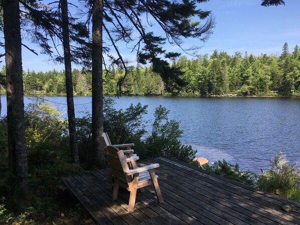 A wooden deck with a bench overlooking a lake surrounded by trees. - Secluded Lakefront, Dog-Friendly Cabin with Canoe, 7 Miles from the Ocean (Marshfield)