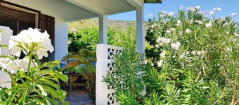 relaxing atmosphere, isolated at the foot of the mountain